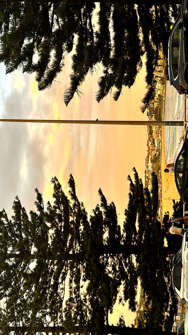 ppwyang0 image ~ Altpins