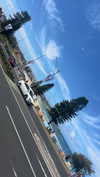 ppwyang0 Altpins Profile Picture