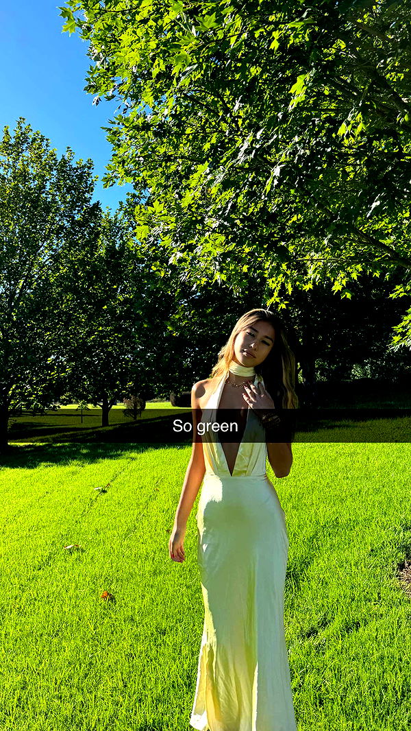 ppwyang0 image ~ Altpins