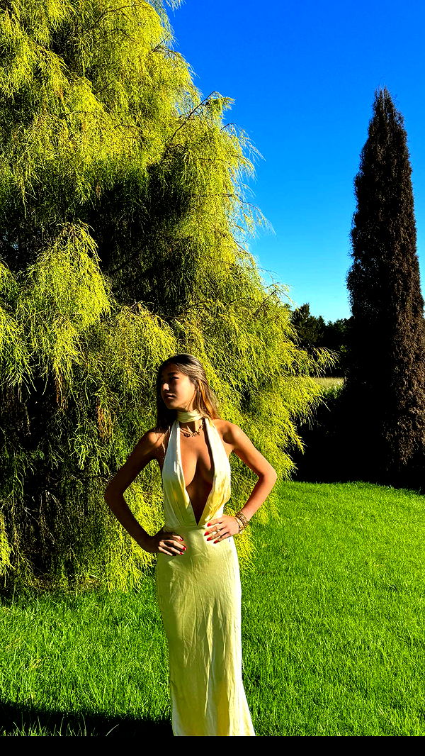 ppwyang0 image ~ Altpins