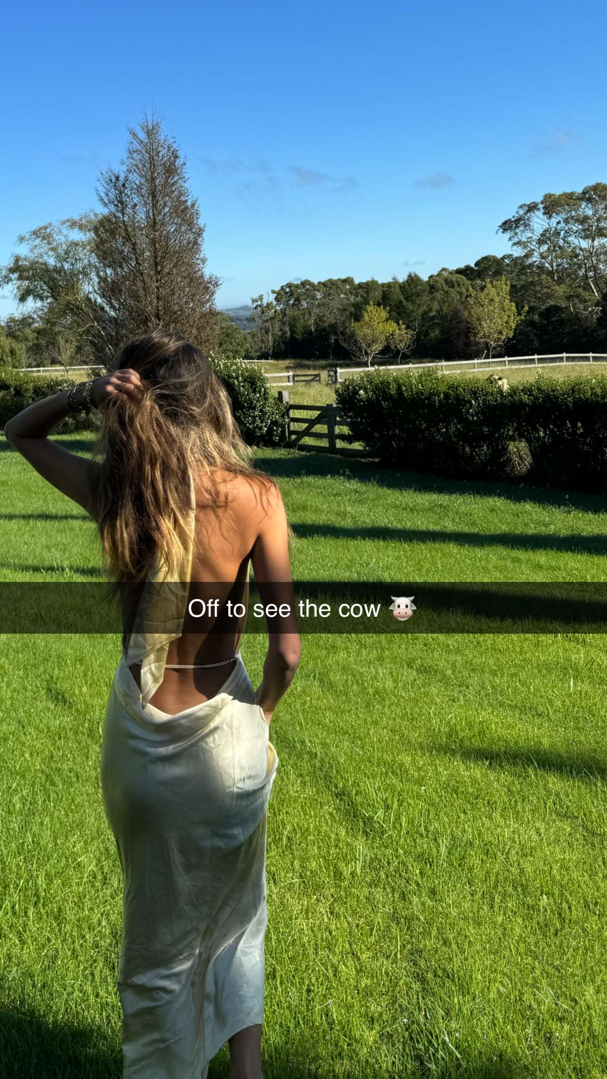 ppwyang0 snapchat image archive image