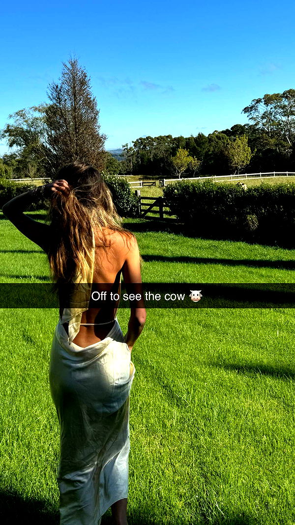 ppwyang0 image ~ Altpins