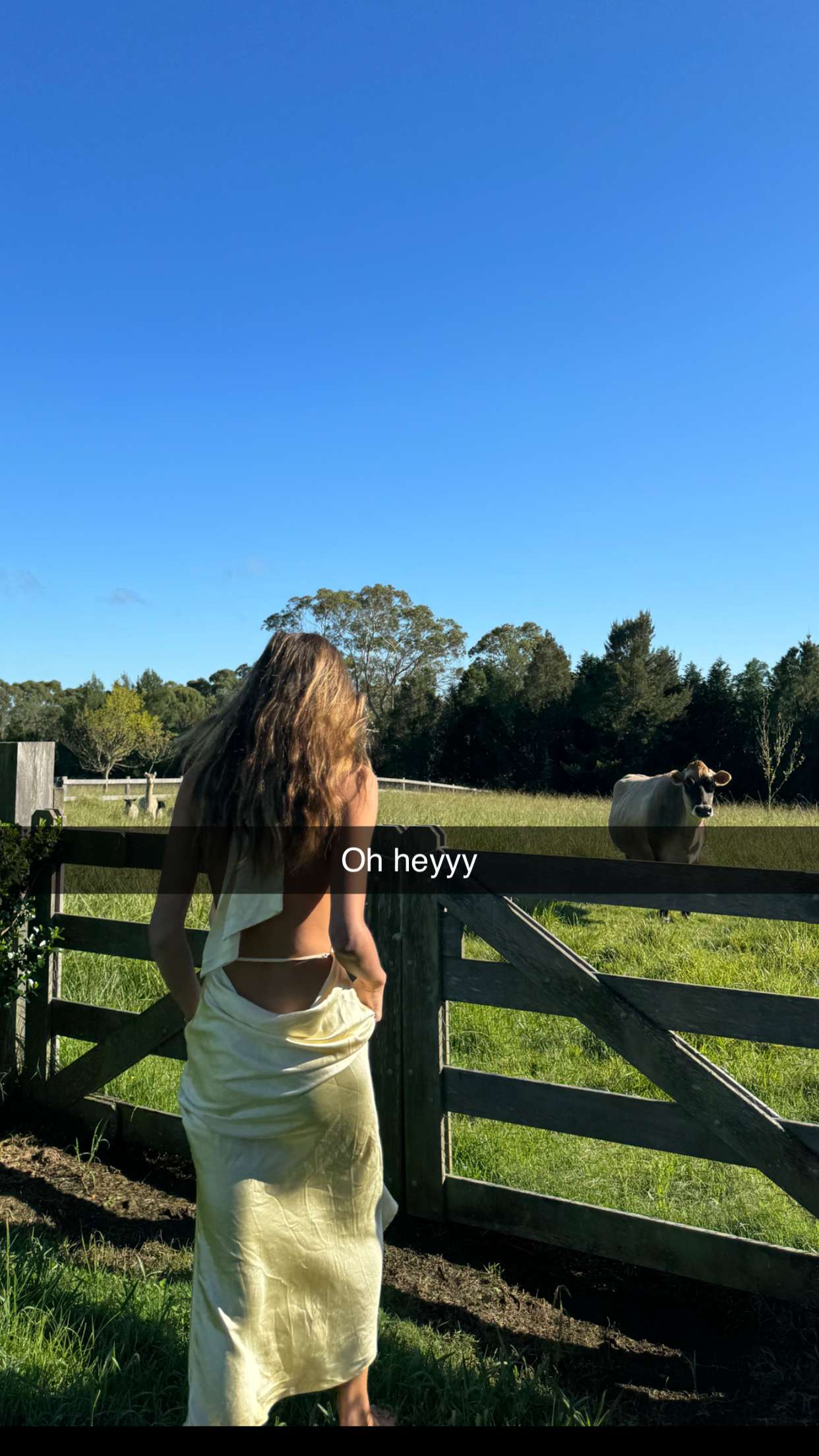 ppwyang0 snapchat image archive image