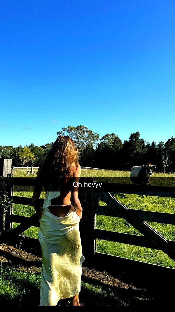 ppwyang0 image ~ Altpins