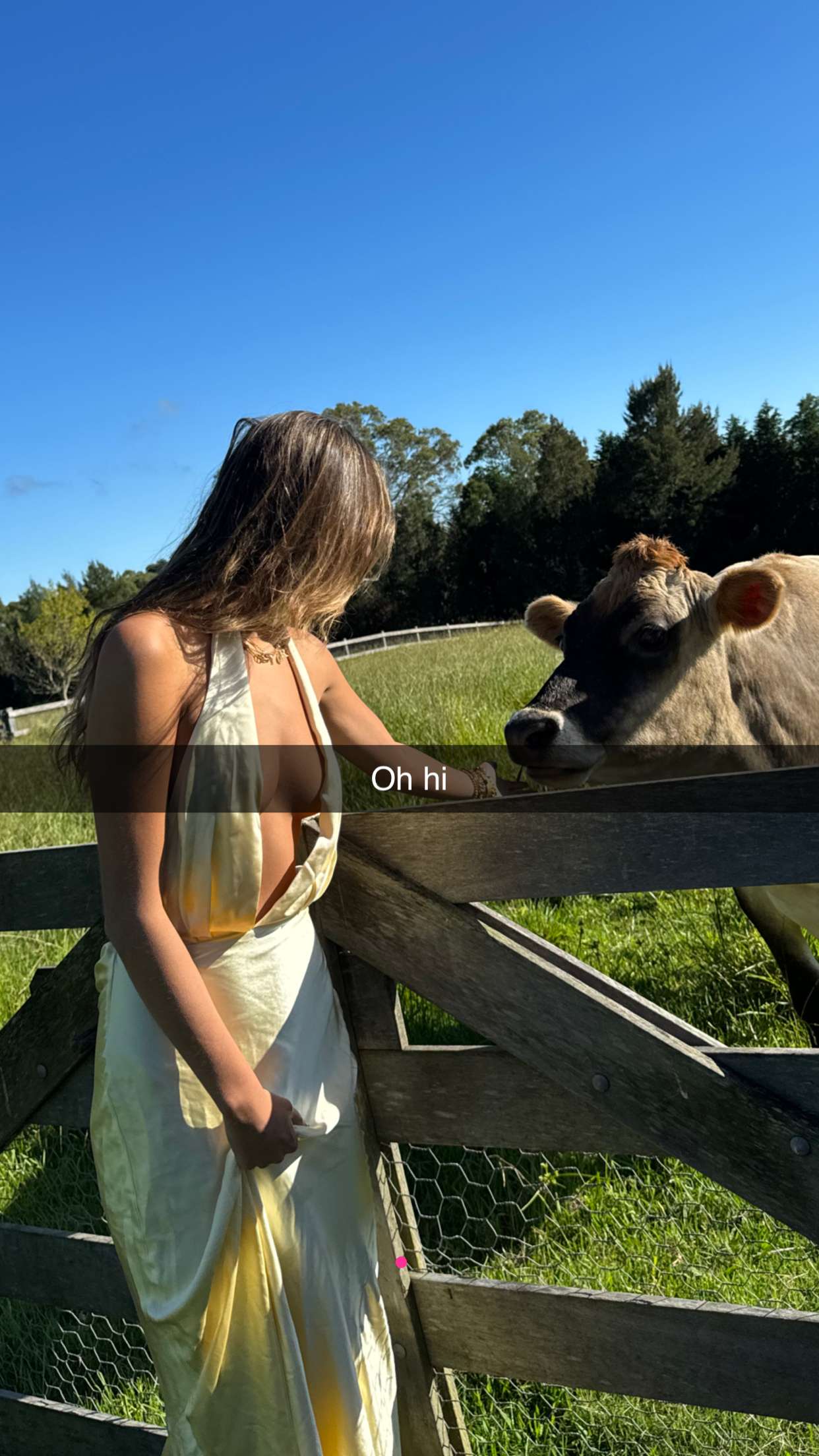 ppwyang0 snapchat image archive image