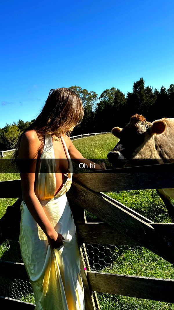 ppwyang0 image ~ Altpins