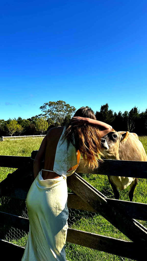 ppwyang0 image ~ Altpins