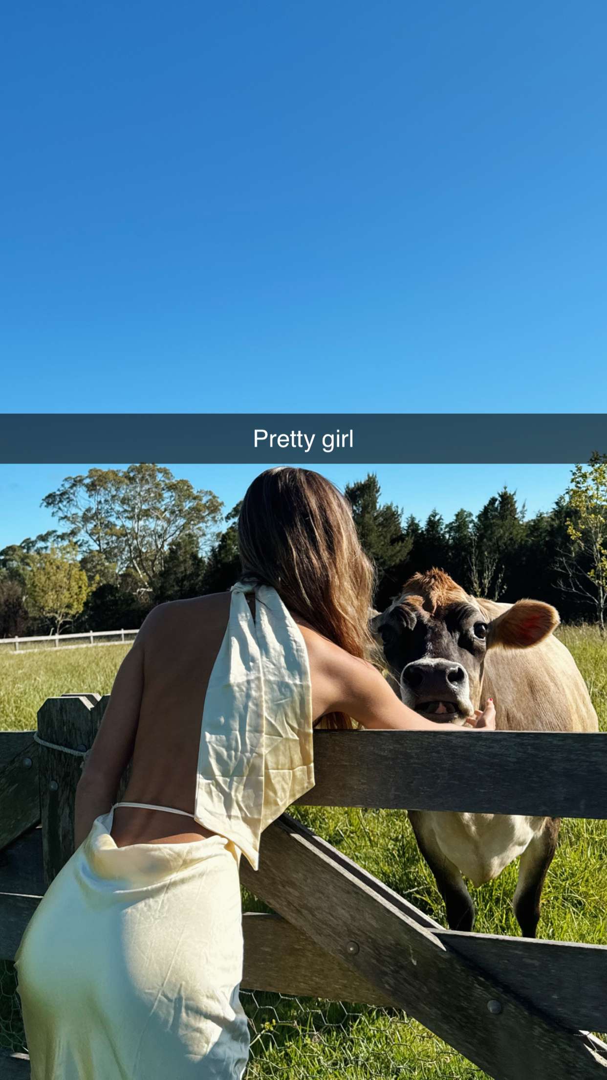 ppwyang0 snapchat image archive image