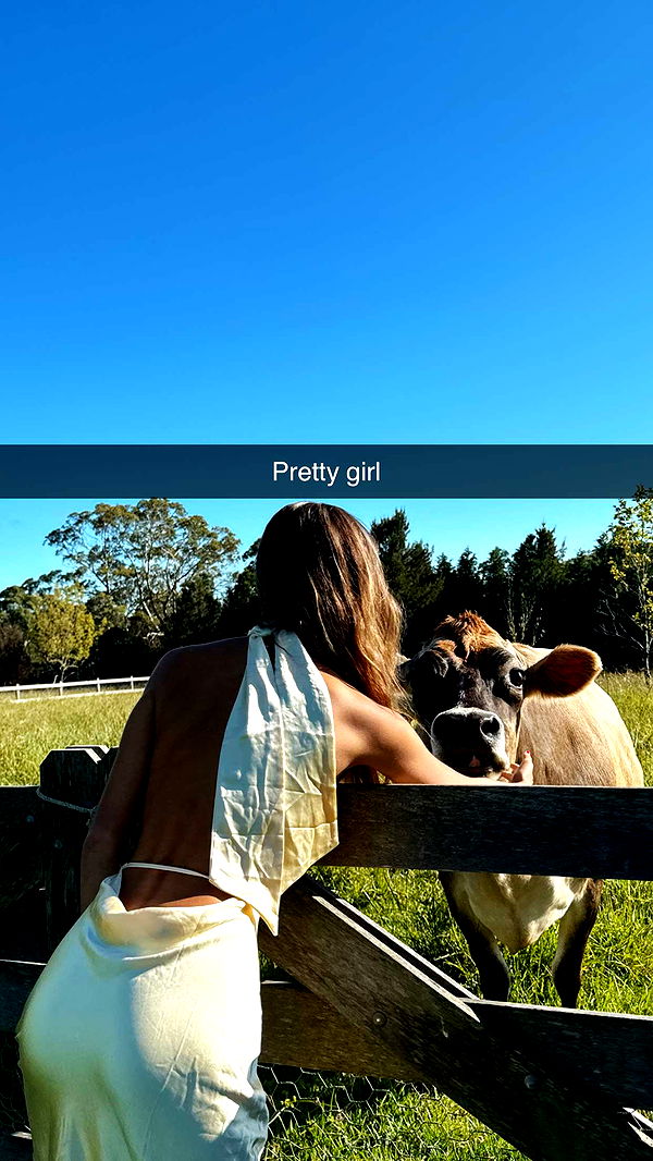 ppwyang0 image ~ Altpins