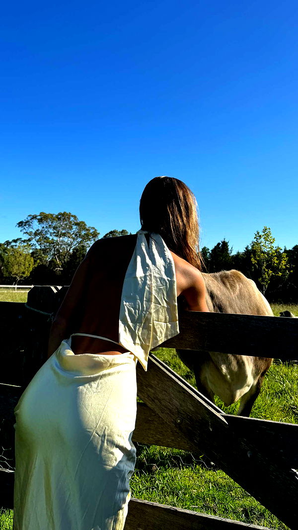 ppwyang0 image ~ Altpins