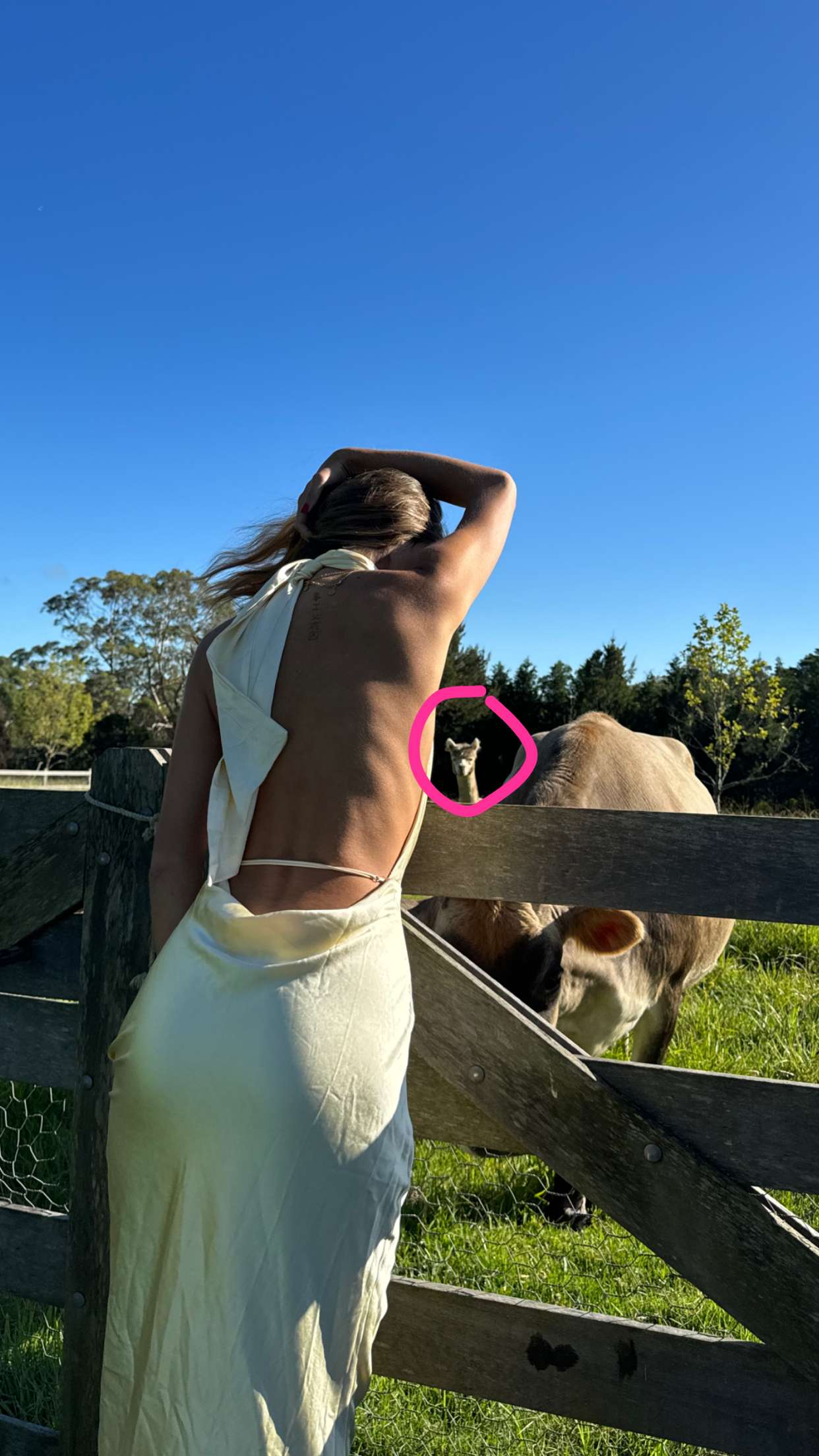 ppwyang0 snapchat image archive image