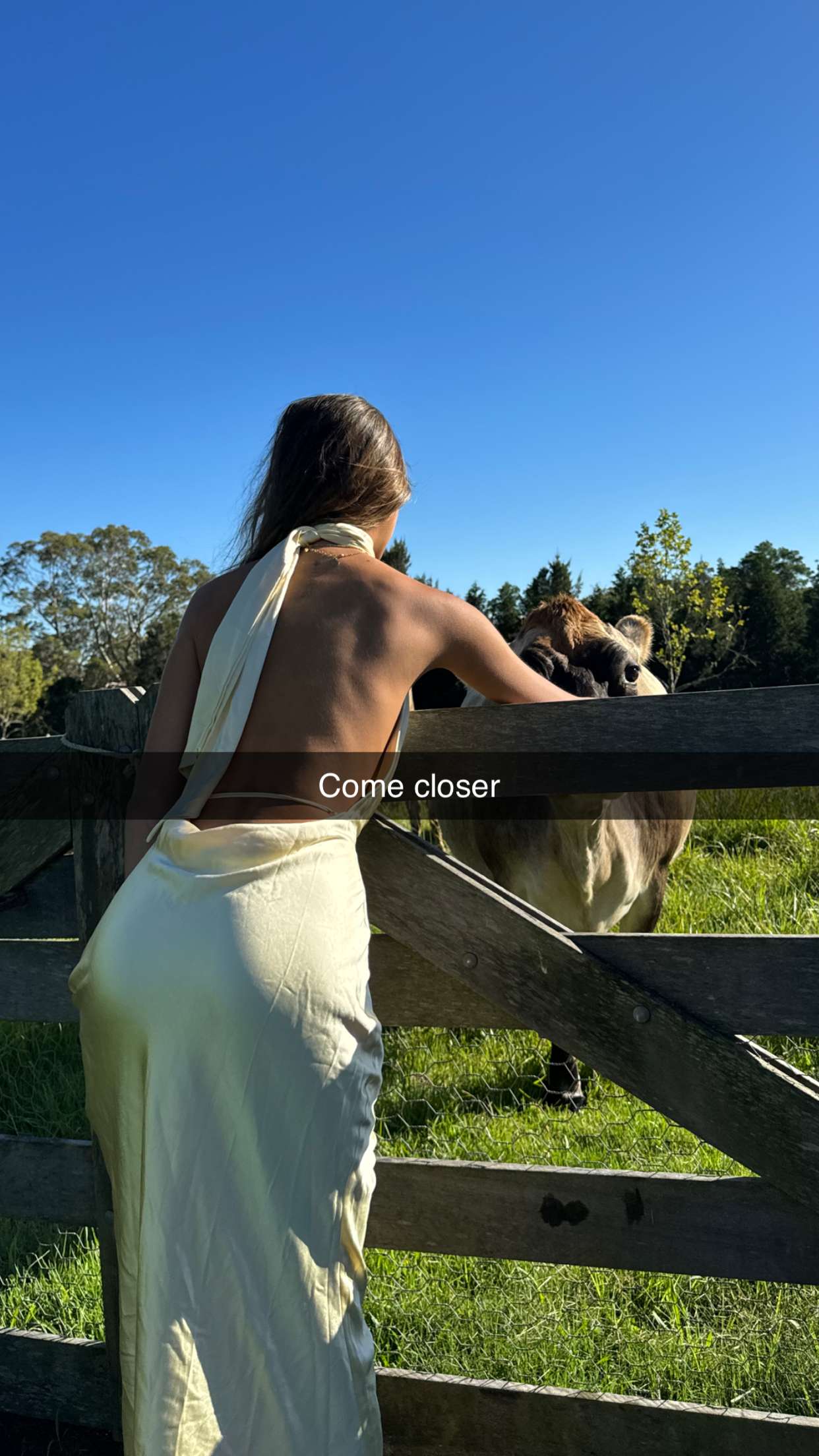 ppwyang0 snapchat image archive image