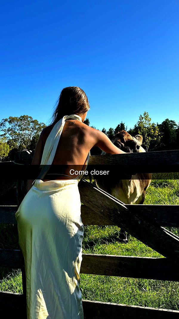 ppwyang0 image ~ Altpins