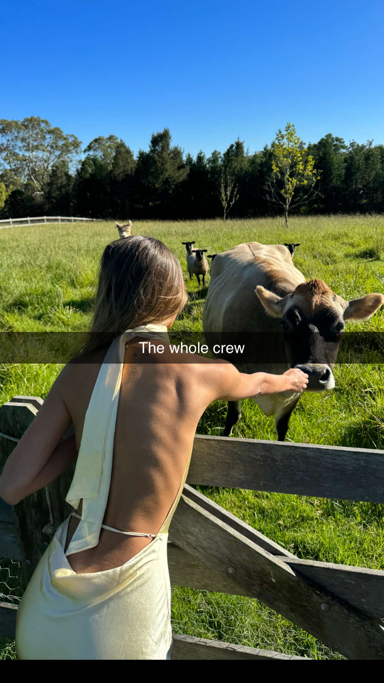 ppwyang0 snapchat image archive image