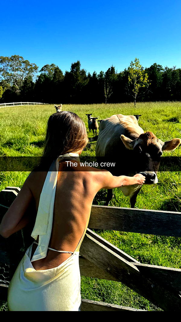 ppwyang0 image ~ Altpins