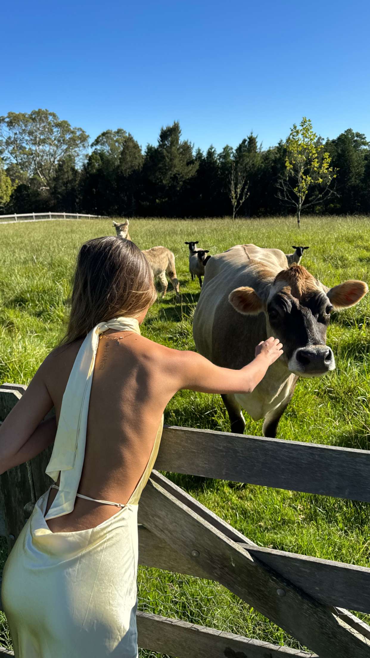 ppwyang0 snapchat image archive image