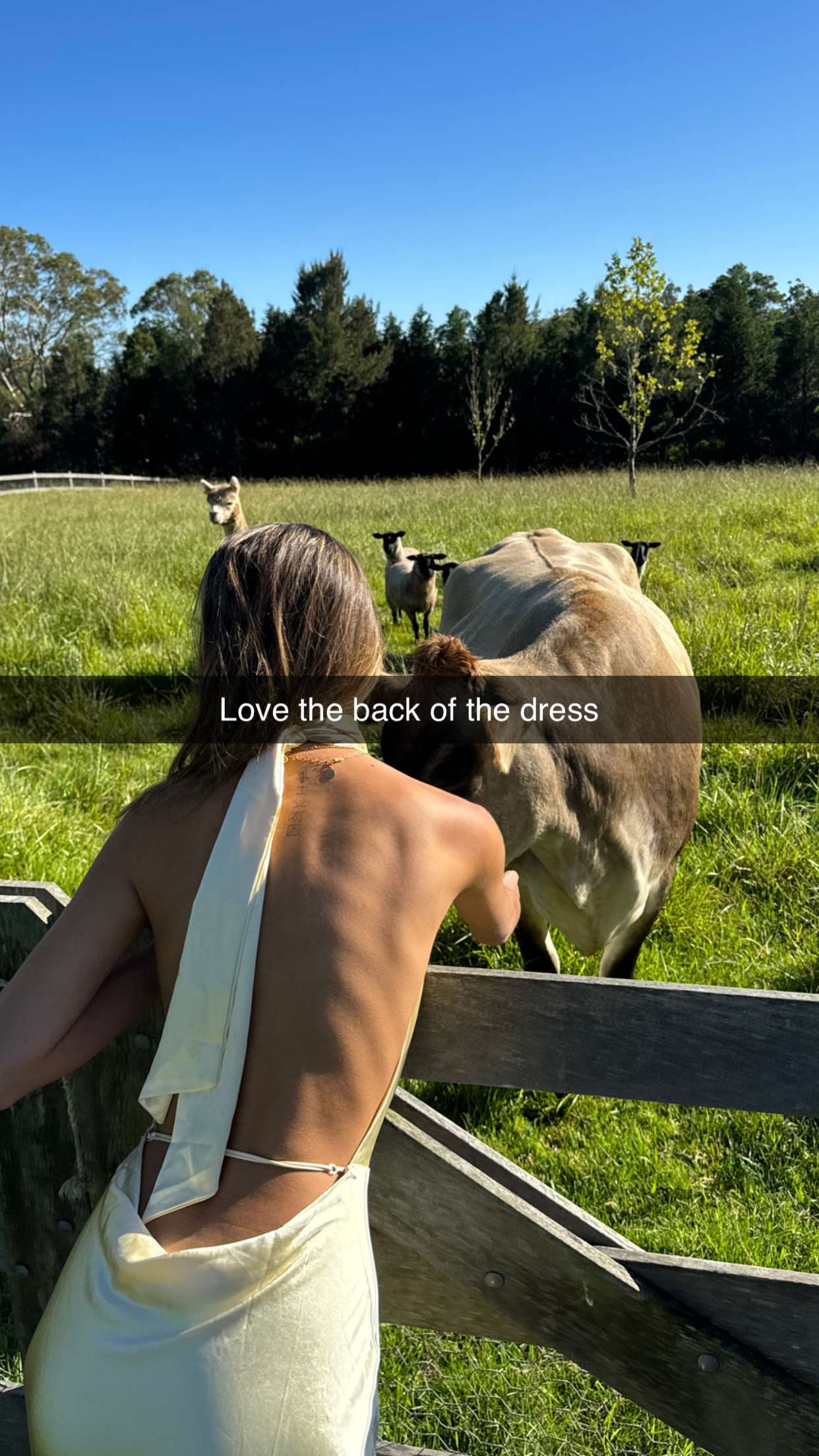 ppwyang0 snapchat image archive image