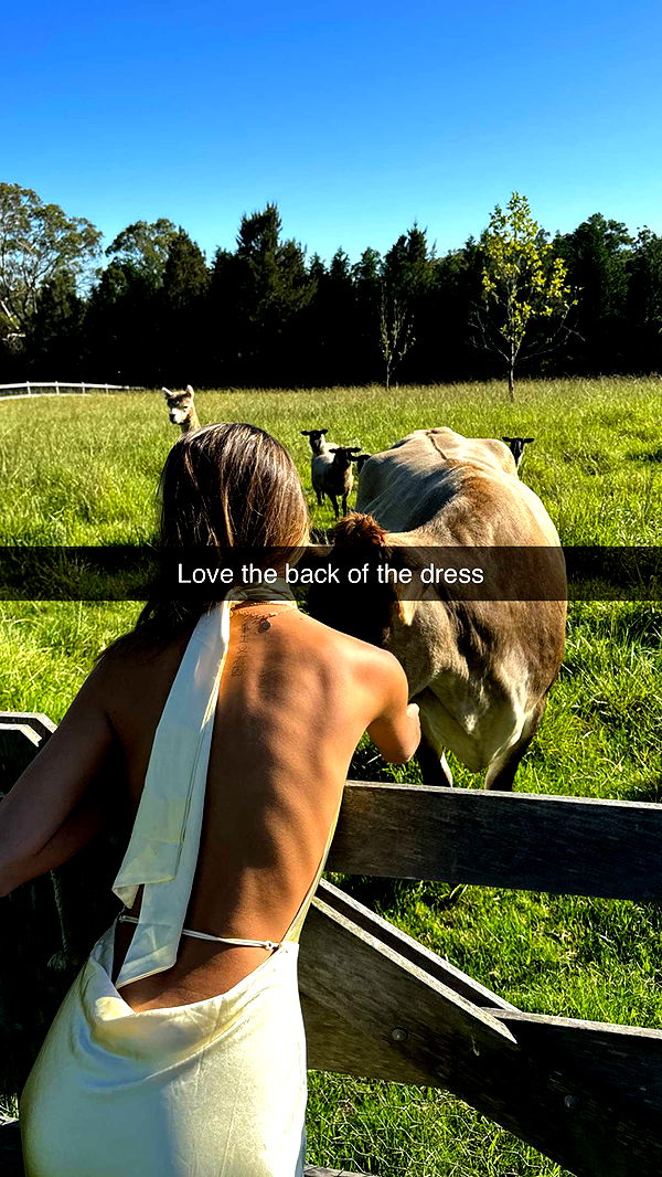 ppwyang0 image ~ Altpins