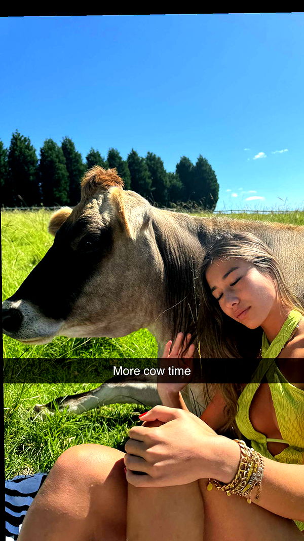 ppwyang0 image ~ Altpins