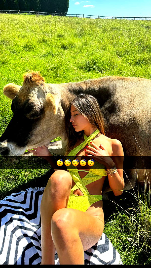 ppwyang0 image ~ Altpins