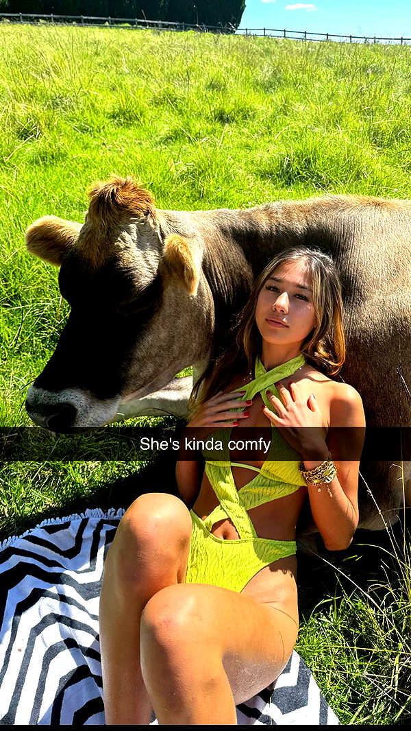 ppwyang0 image ~ Altpins