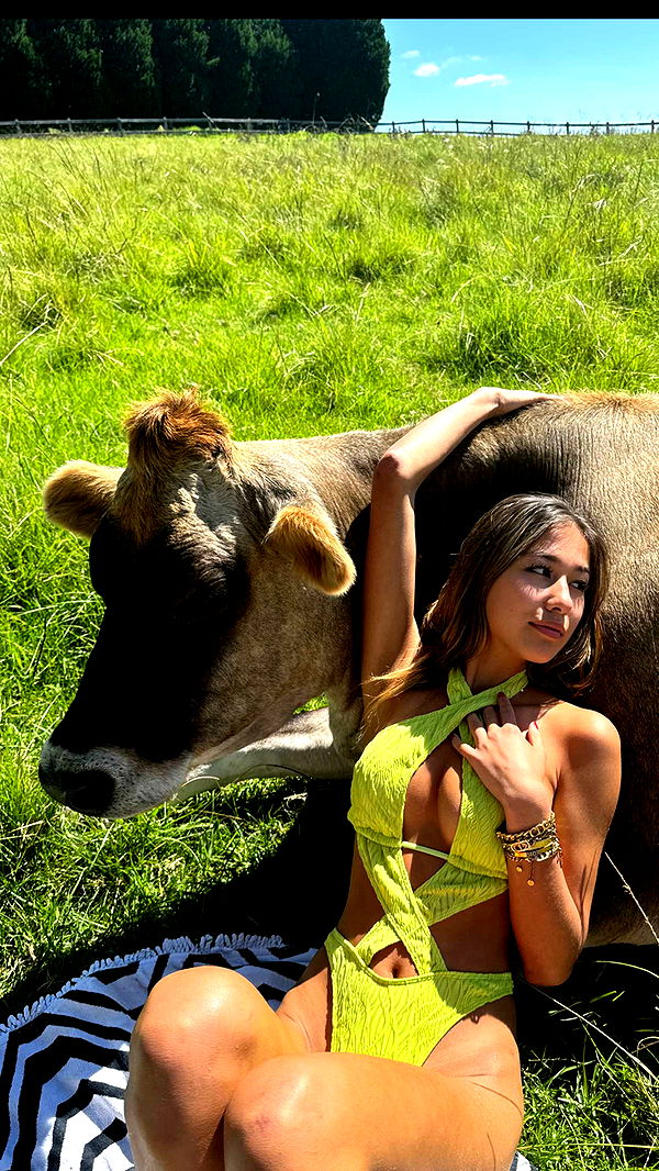 ppwyang0 image ~ Altpins