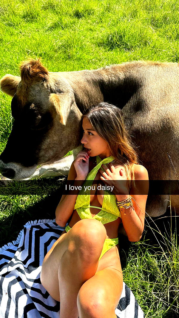 ppwyang0 image ~ Altpins