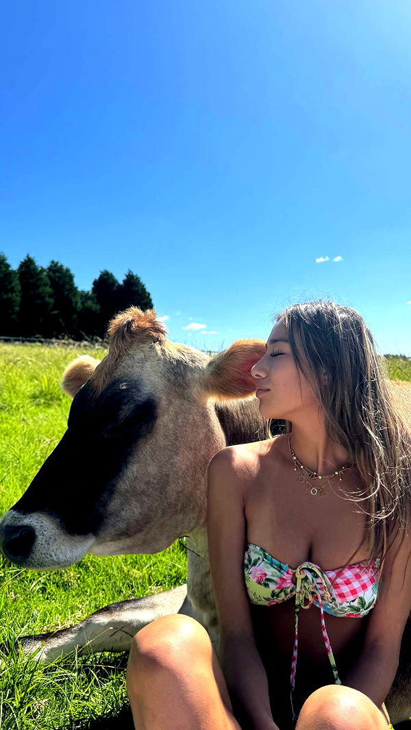 ppwyang0 image ~ Altpins