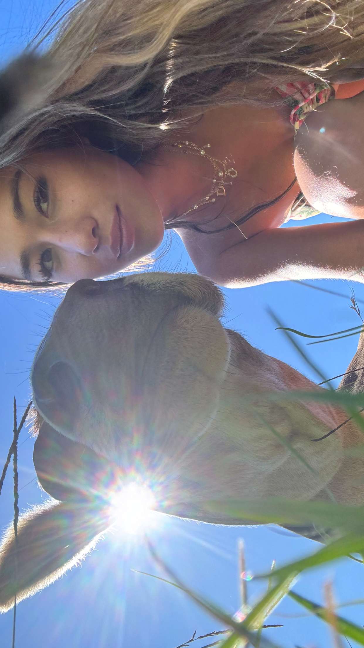 ppwyang0 snapchat image archive image