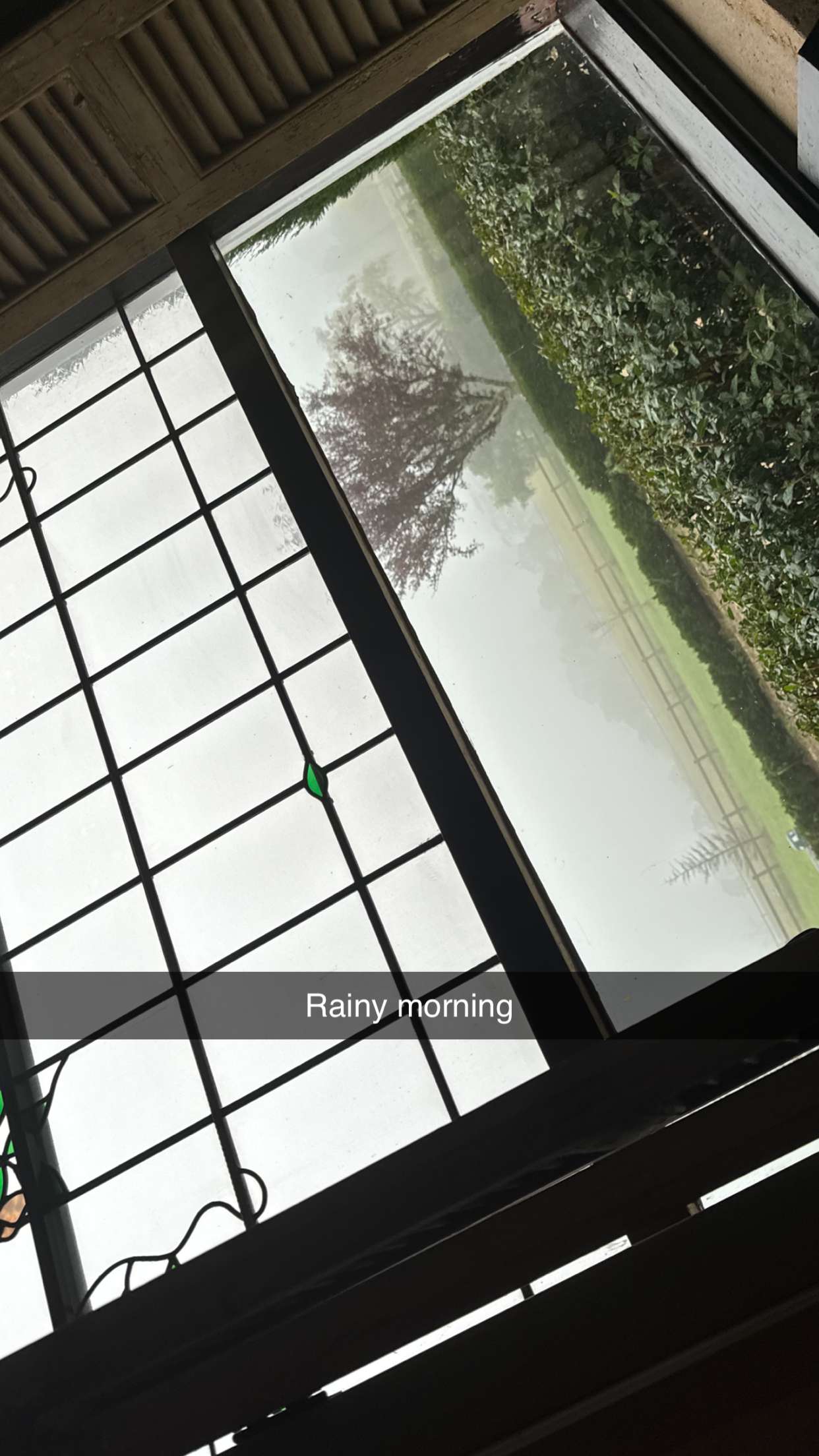 ppwyang0 snapchat image archive image