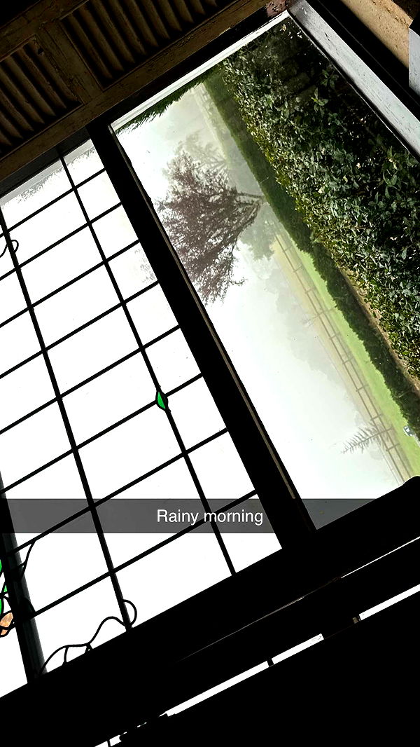 ppwyang0 image ~ Altpins