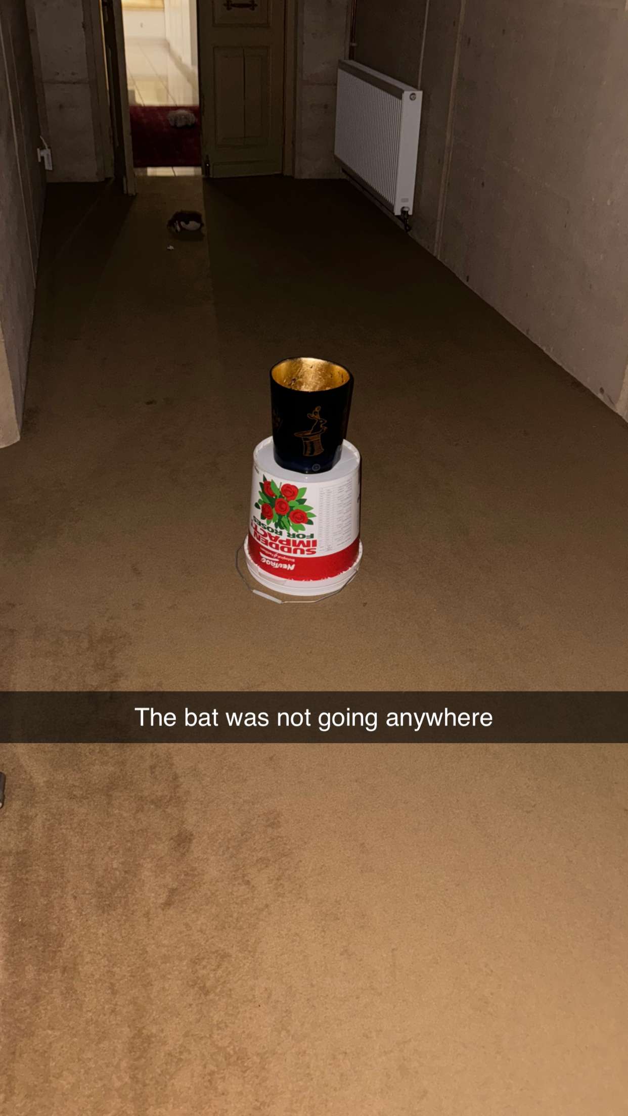 ppwyang0 snapchat image archive image