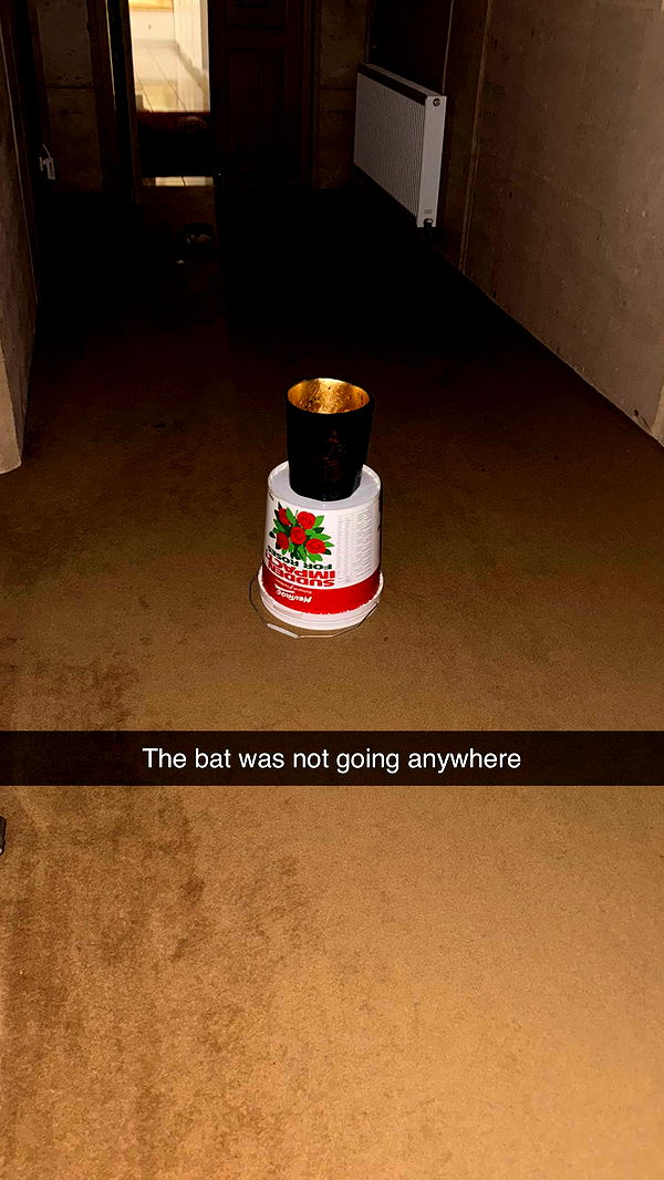 ppwyang0 image ~ Altpins