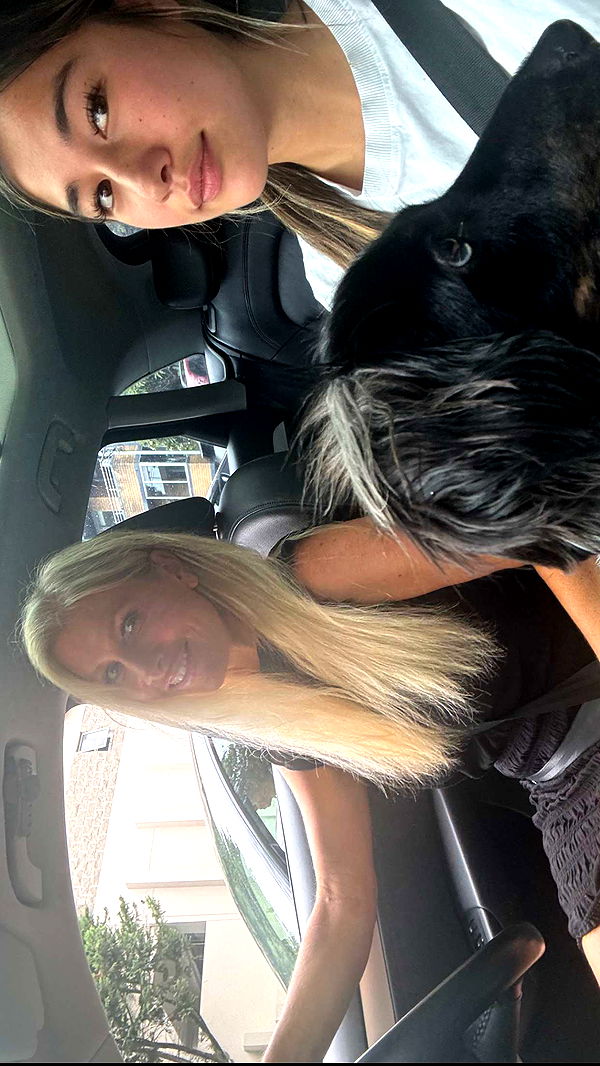 ppwyang0 image ~ Altpins