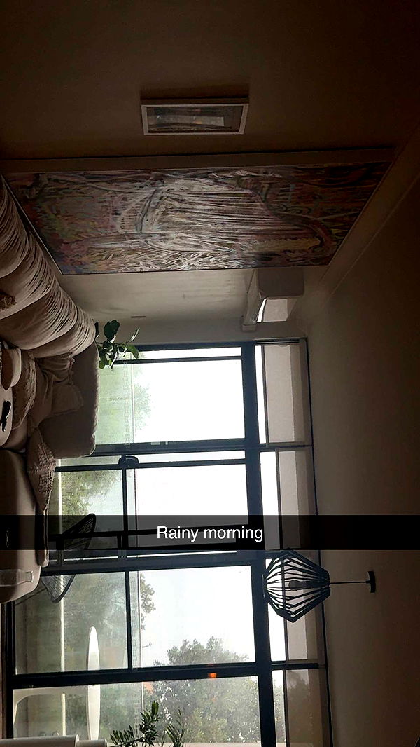 ppwyang0 image ~ Altpins