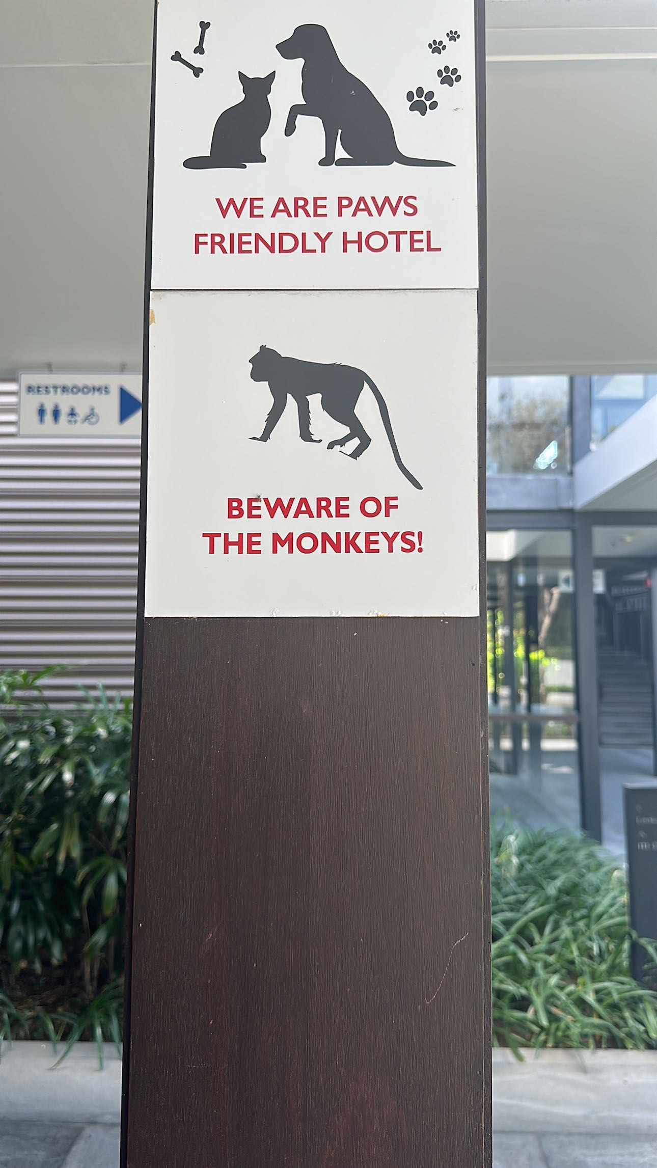 ppwyang0 snapchat image archive image