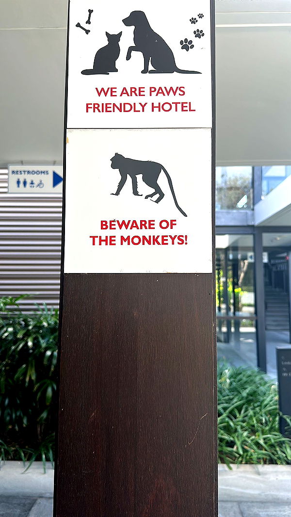 ppwyang0 image ~ Altpins