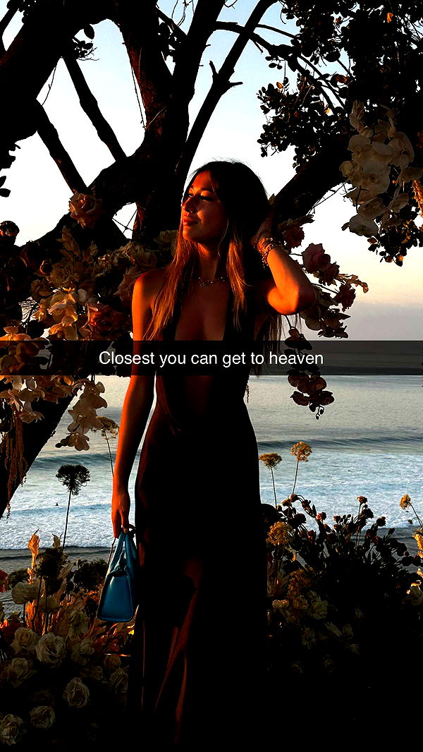 ppwyang0 image ~ Altpins