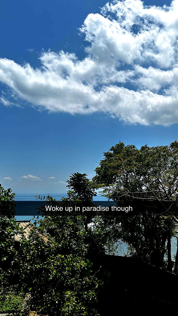 ppwyang0 image ~ Altpins