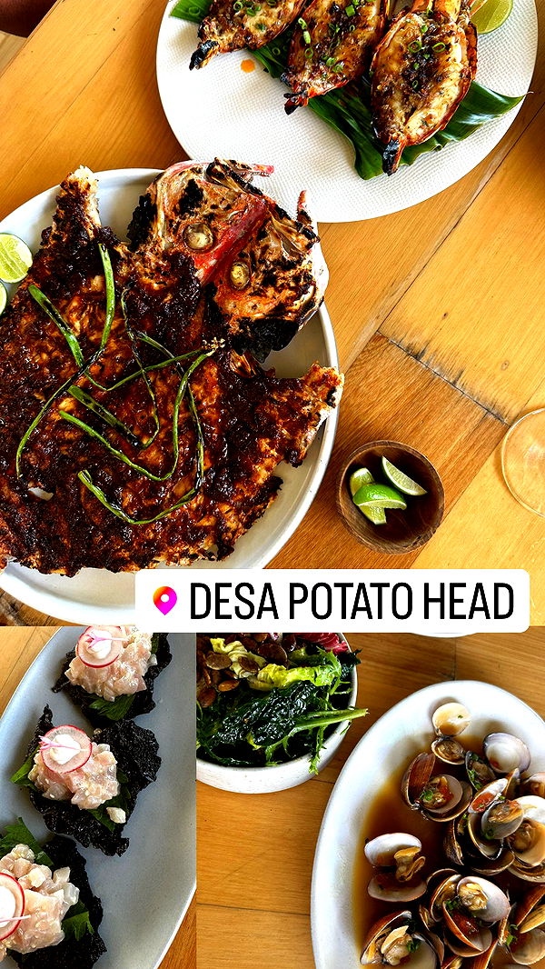 ppwyang0 image ~ Altpins