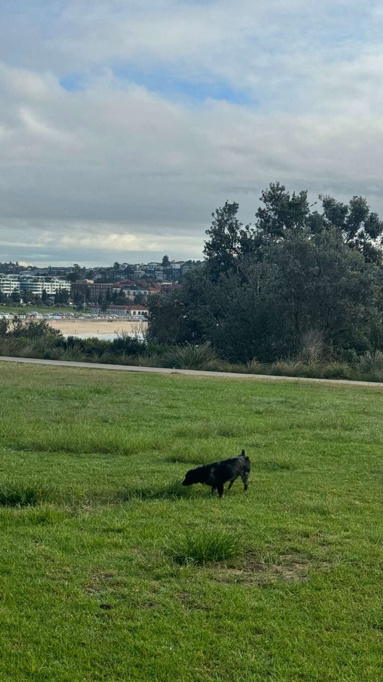 ppwyang0 snapchat image archive image