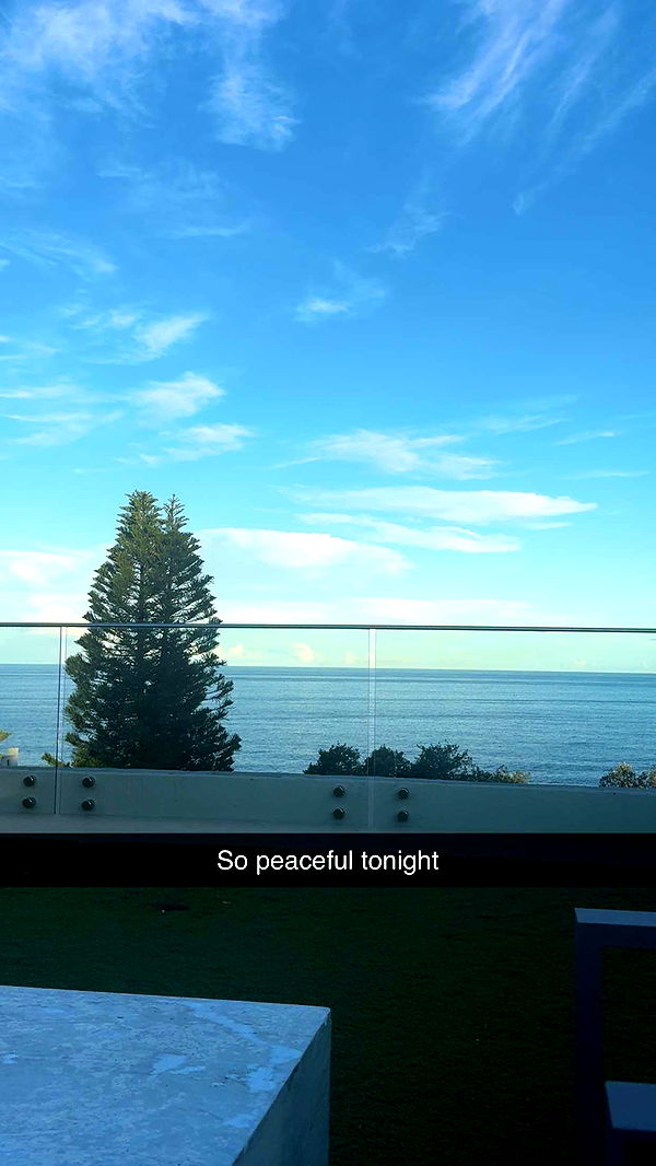 ppwyang0 image ~ Altpins