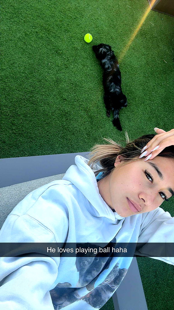 ppwyang0 image ~ Altpins