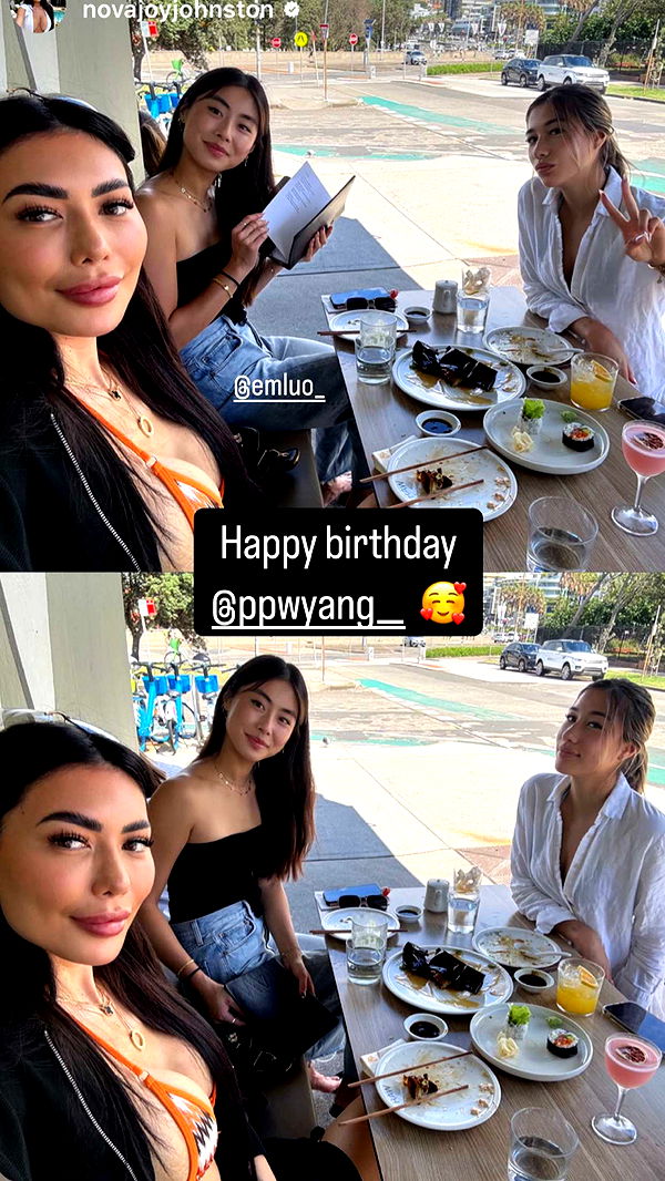 ppwyang0 image ~ Altpins