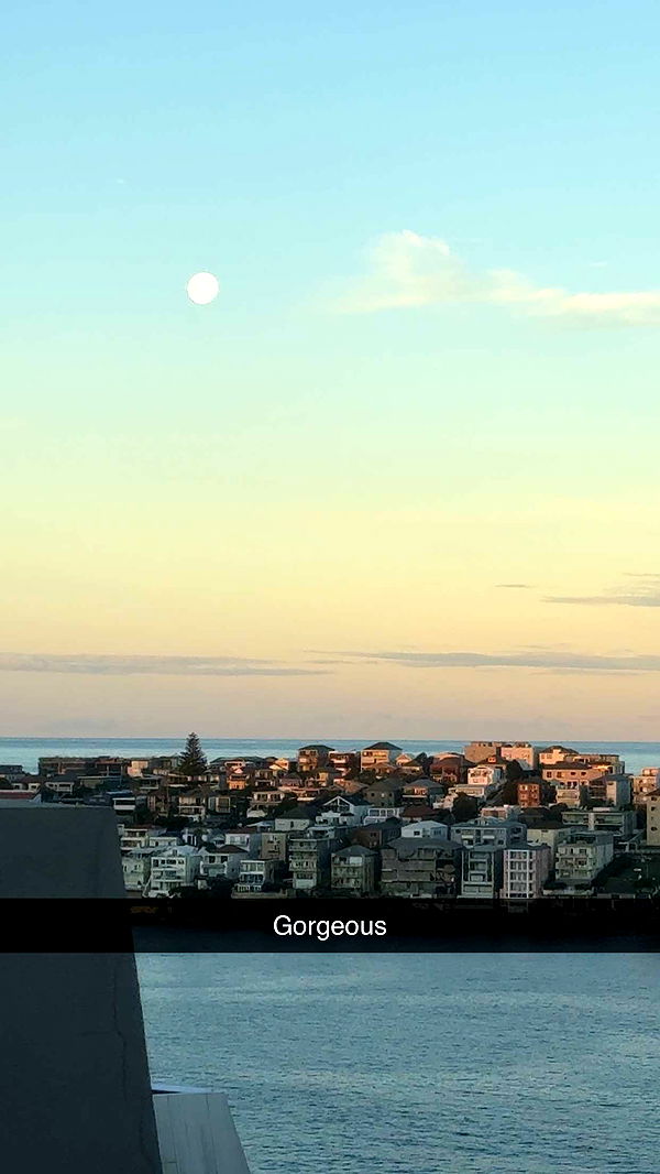 ppwyang0 image ~ Altpins