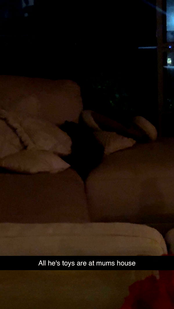 ppwyang0 image ~ Altpins