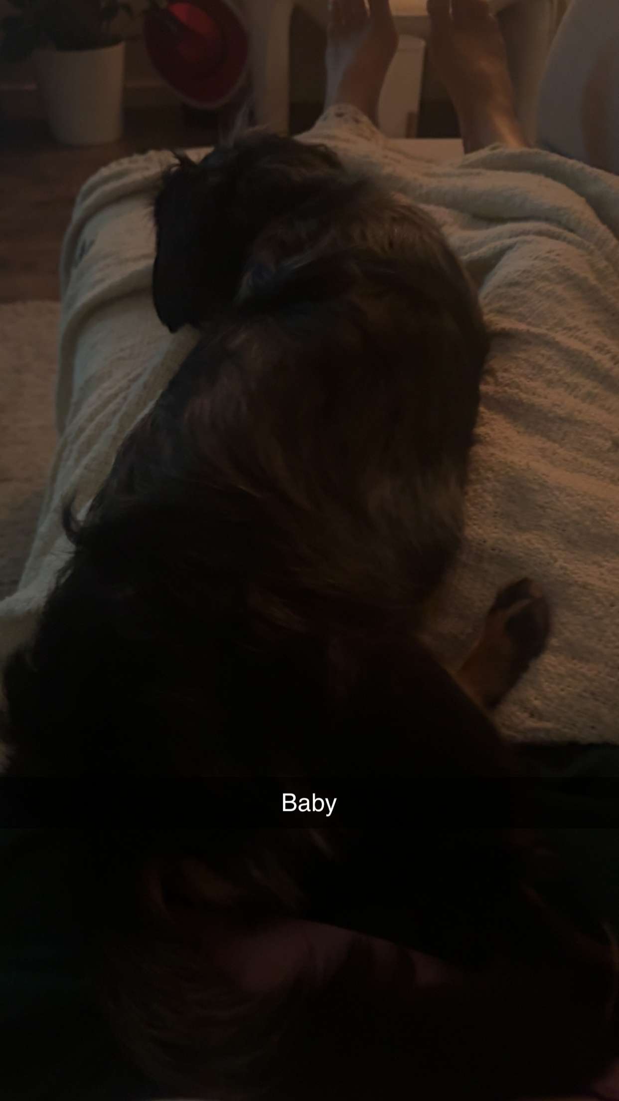 ppwyang0 snapchat image archive image