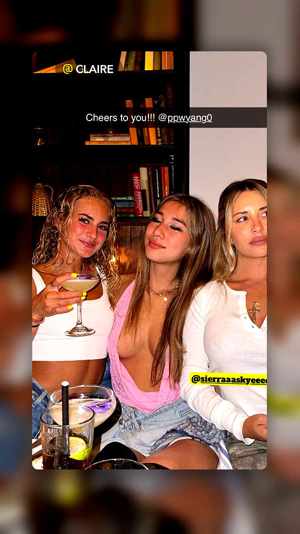 ppwyang0 image ~ Altpins