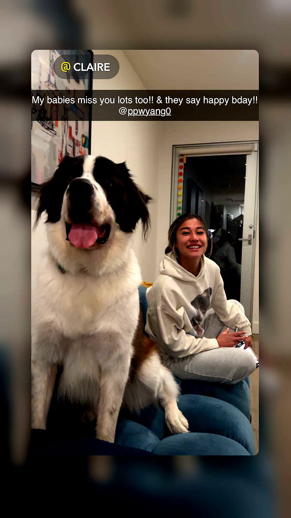 ppwyang0 image ~ Altpins