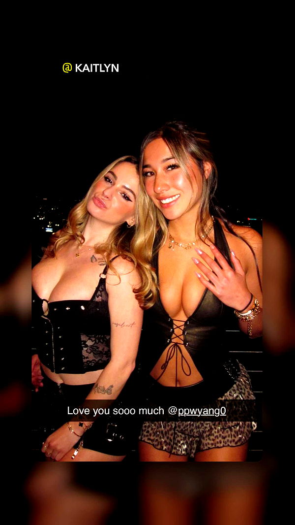 ppwyang0 image ~ Altpins